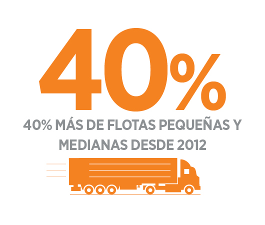 flotas pequeñas y medianas